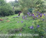 Gartenbauverein Bobingen - Virtuelle Gartenrunde - Bobinger Lisa