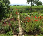 Gartenbauverein Bobingen - Virtuelle Gartenrunde - Dr. Pfeiffer