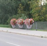 Blumen Lindauer Straße
